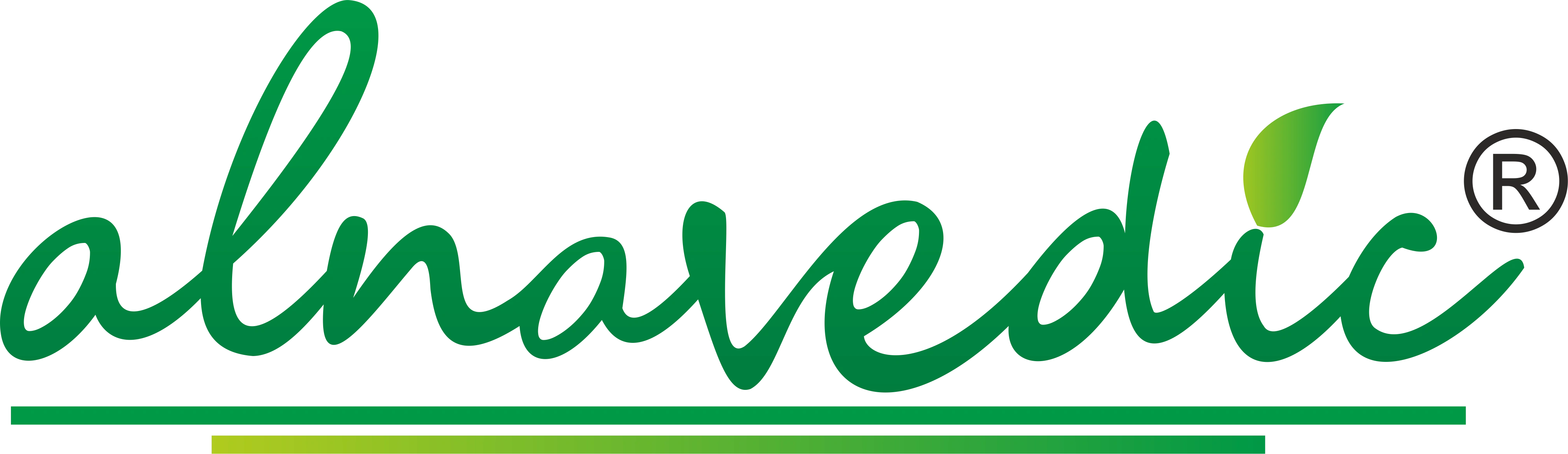 Alnavedic